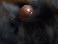 POV aves con mocoso rubio