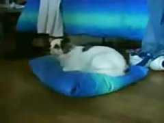 Gafas pequeñas para bebé con capucha y la polla gruesa.