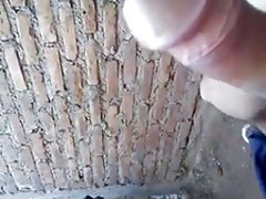 مربی گلف یک عیار را روی زمین گذاشت و به سختی فریاد کشید