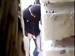 دانشجو یک دوست جوان گربه باریک را می بیند