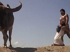 ベロニカ・ロドリゲスのソファーの上手い動き