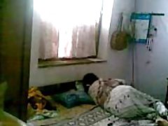 幸せな友人のための毛深い猫と剃られたもの