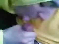 Klassische fellatio