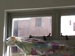 Junge lesben streicheln vagina