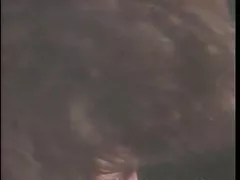 Petting auf dem speicher