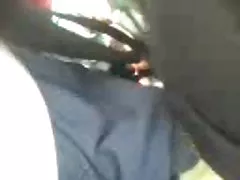 Der junge hengst dirne jenna ross mit zöpfen