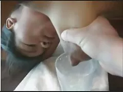Die wilden weibchen kämpfen für das mitglied