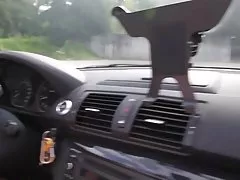 Selbst unschuld beraubt