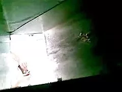 Geschlechtsverkehr mit brünetten