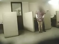Blowjob von schönheits-kahlen