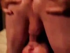 Bescheidene